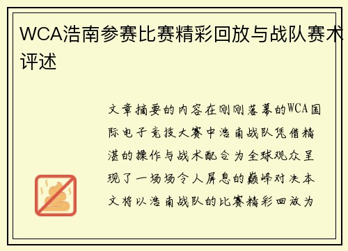 WCA浩南参赛比赛精彩回放与战队赛术评述