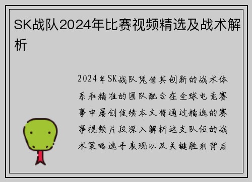 SK战队2024年比赛视频精选及战术解析